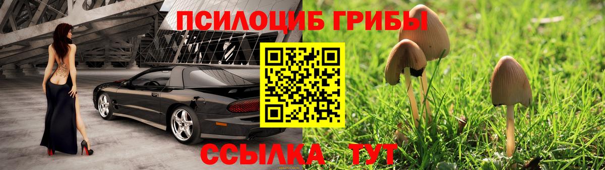 Псилоцибиновые грибы Cubensis Лосино-Петровский